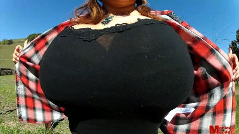 Countryside tits 1 